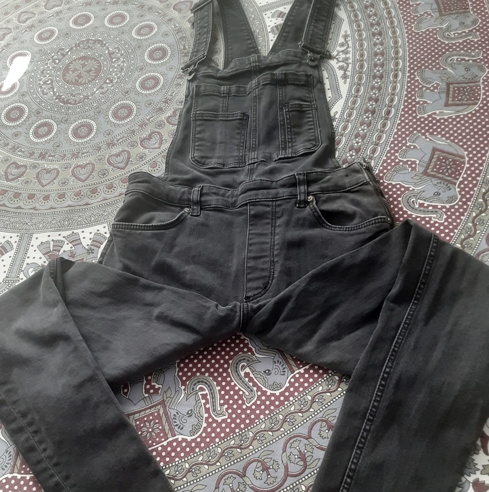 Free People Denim Overalls